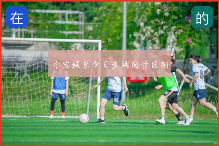 牛宝娱乐今日多端同步区别