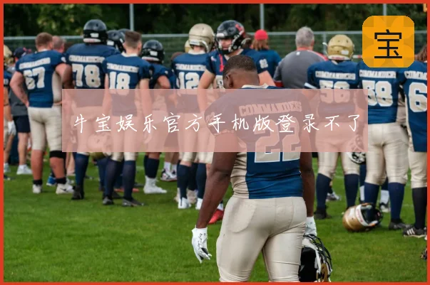 牛宝娱乐官方手机版登录不了